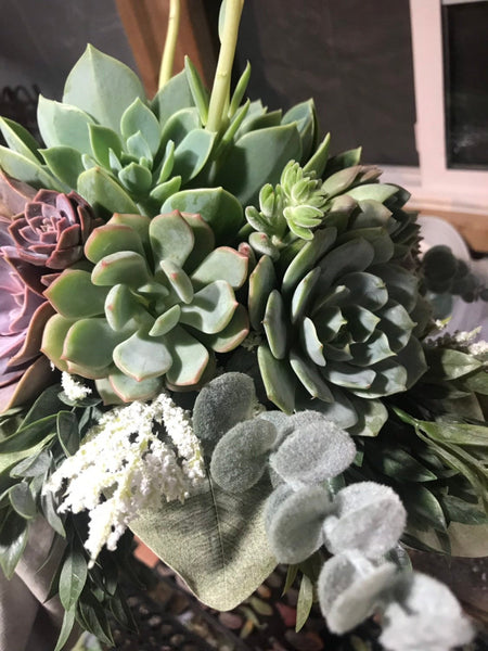 Succulent Bouquet | Bridal Bouquet | Live Succulent Bouquet | Wedding Bouquet