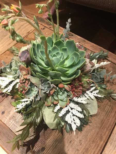 Succulent Bouquet | Bridal Bouquet | Live Succulent Bouquet | Wedding Bouquet