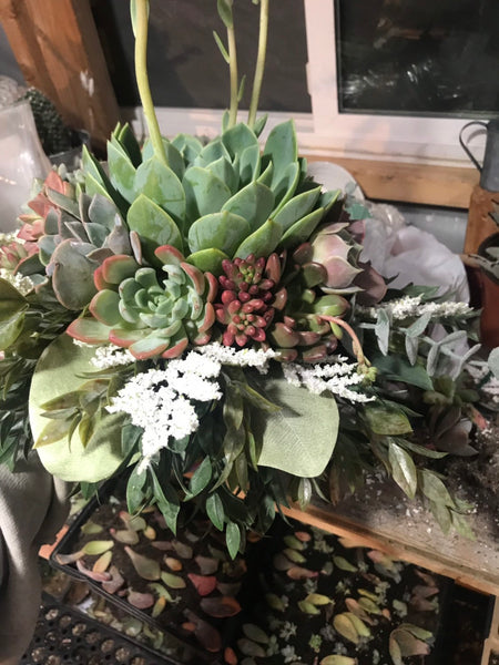 Succulent Bouquet | Bridal Bouquet | Live Succulent Bouquet | Wedding Bouquet
