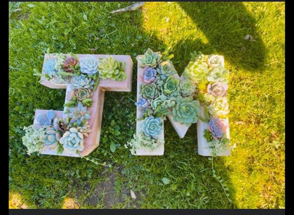 8 inch A-Z succulent monogram letter arrangement