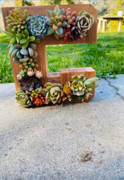 8 inch A-Z succulent monogram letter arrangement