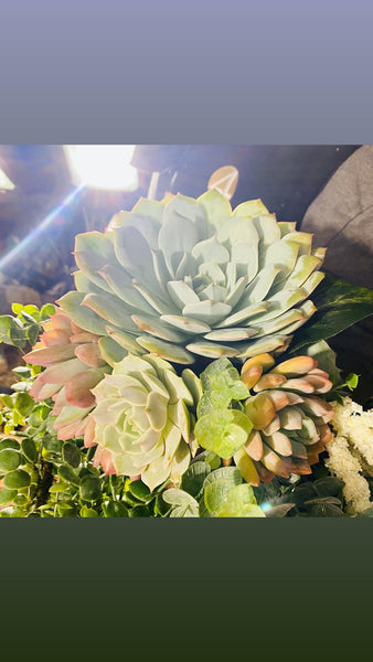 Succulent Bouquet , bridal bouquet , wedding arrangements , centerpieces , weddings , gifts