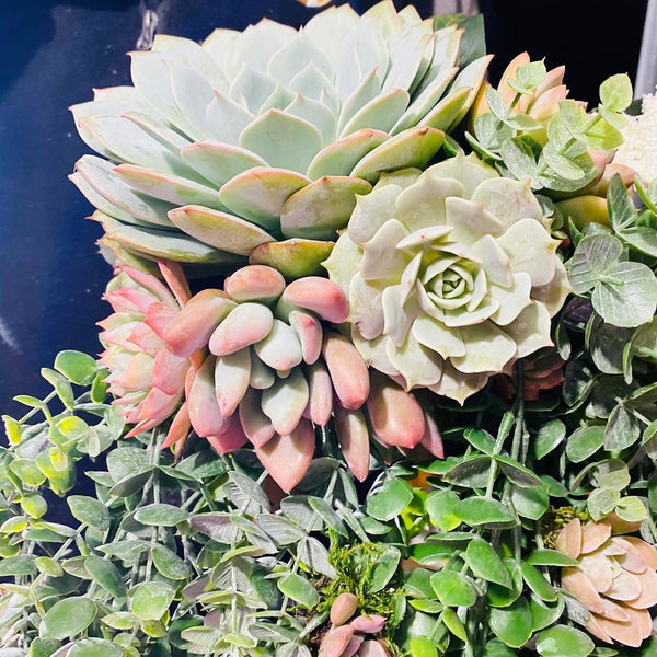 Succulent Bouquet , bridal bouquet , wedding arrangements , centerpieces , weddings , gifts