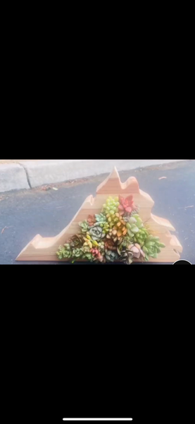 8 inch A-Z succulent monogram letter arrangement