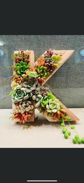 8 inch A-Z succulent monogram letter arrangement