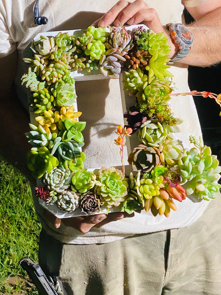 8 inch A-Z succulent monogram letter arrangement