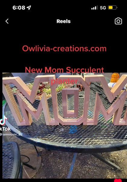 8 inch A-Z succulent monogram letter arrangement