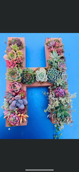 8 inch A-Z succulent monogram letter arrangement