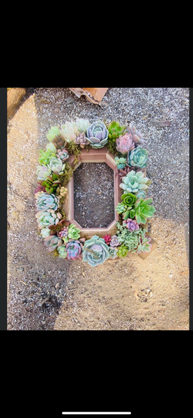 8 inch A-Z succulent monogram letter arrangement