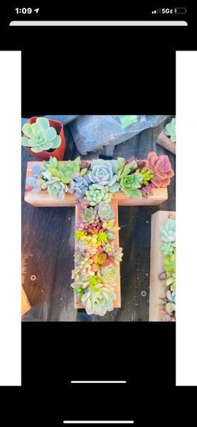 8 inch A-Z succulent monogram letter arrangement
