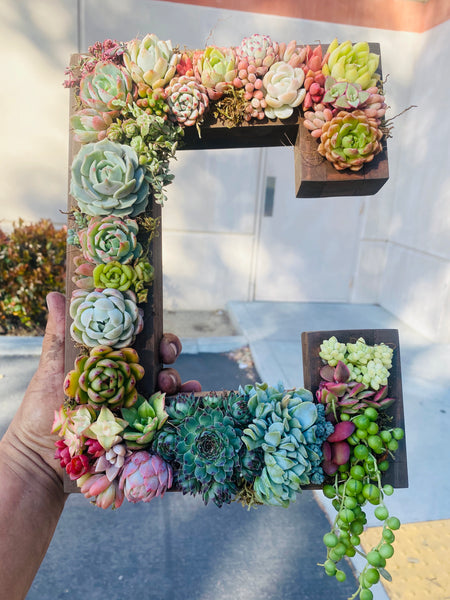 8 inch A-Z succulent monogram letter arrangement