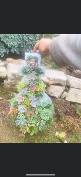8 inch A-Z succulent monogram letter arrangement