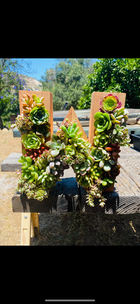 8 inch A-Z succulent monogram letter arrangement