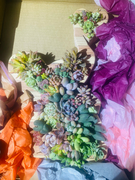 8 inch A-Z succulent monogram letter arrangement