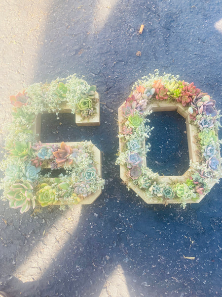 8 inch A-Z succulent monogram letter arrangement