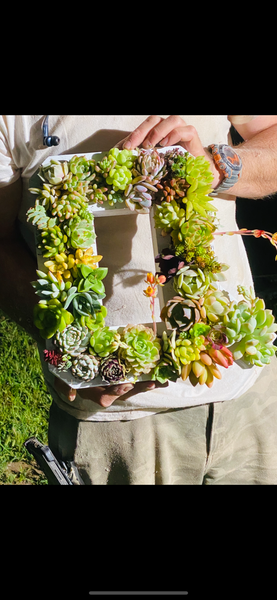 8 inch A-Z succulent monogram letter arrangement