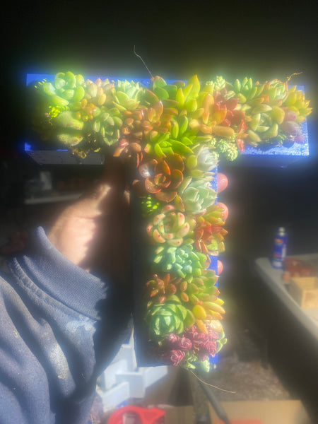 8 inch A-Z succulent monogram letter arrangement