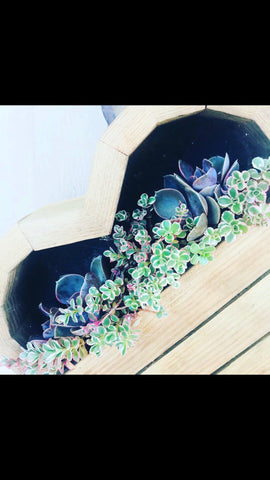 succulent heart shaped planter arrangement