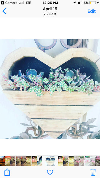 succulent heart shaped planter arrangement