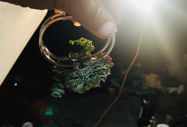 Succulent Bracelet Corsage