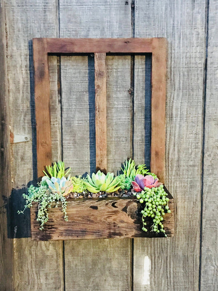 Succulent WindowBox Planter