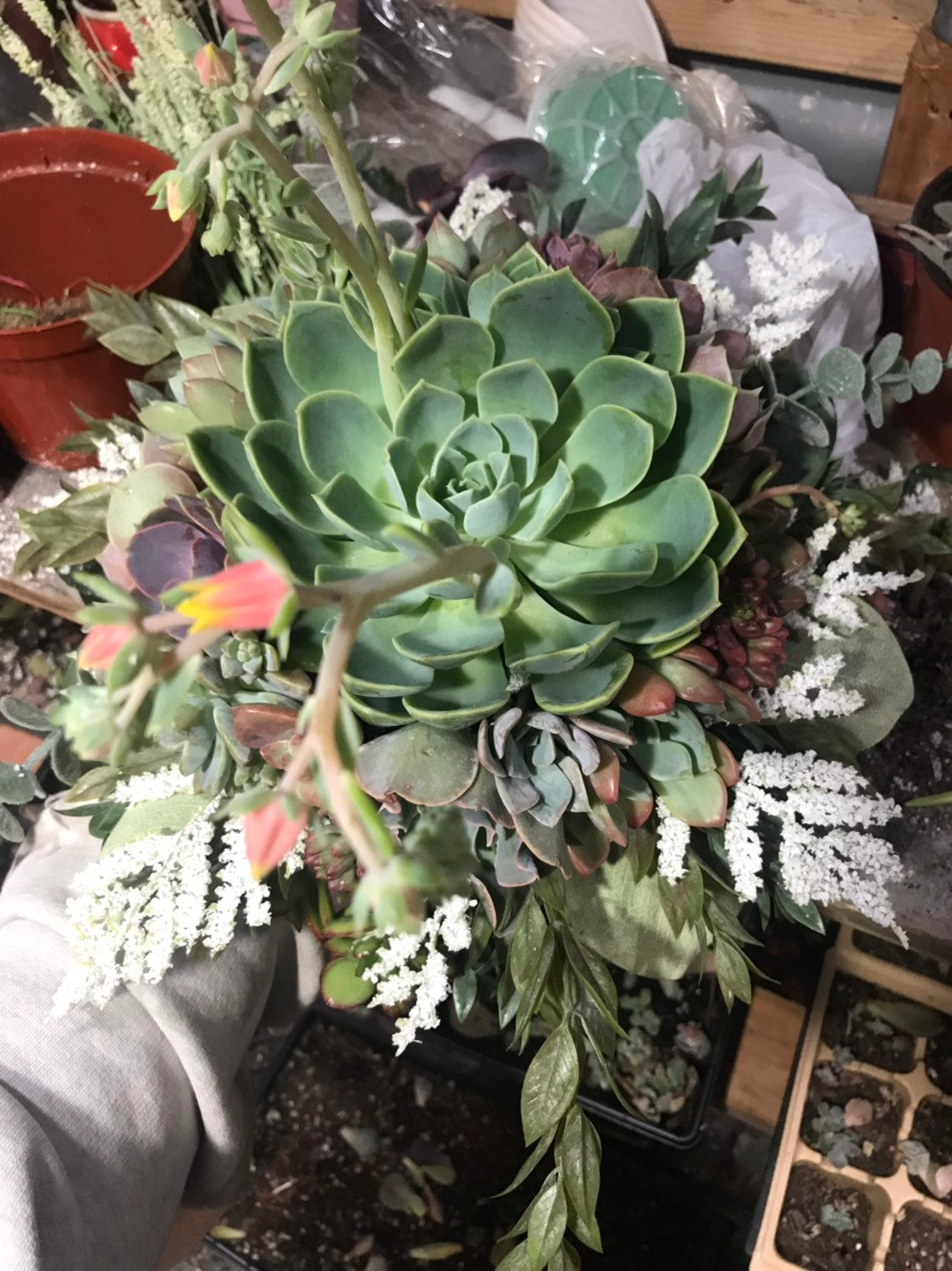 Succulent Bouquet | Bridal Bouquet | Live Succulent Bouquet | Wedding Bouquet