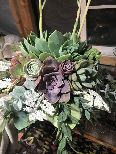 Succulent Bouquet | Bridal Bouquet | Live Succulent Bouquet | Wedding Bouquet