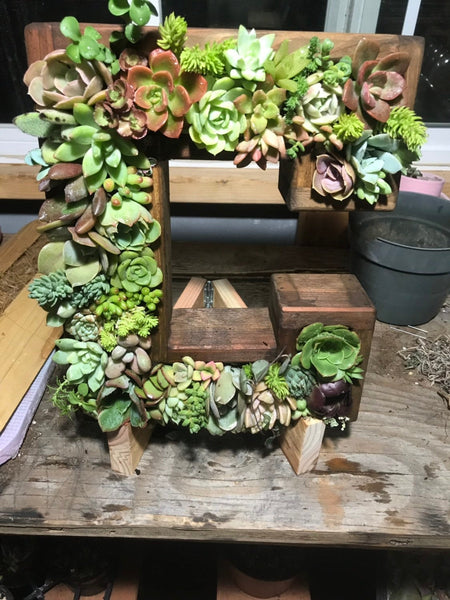 Succulent Letter Stand only