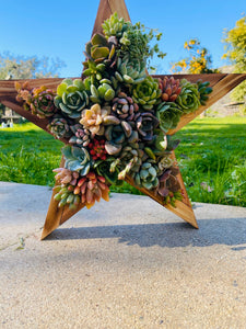 Succulent Star Planter |Mother’s Day gift | 4th of July Decor