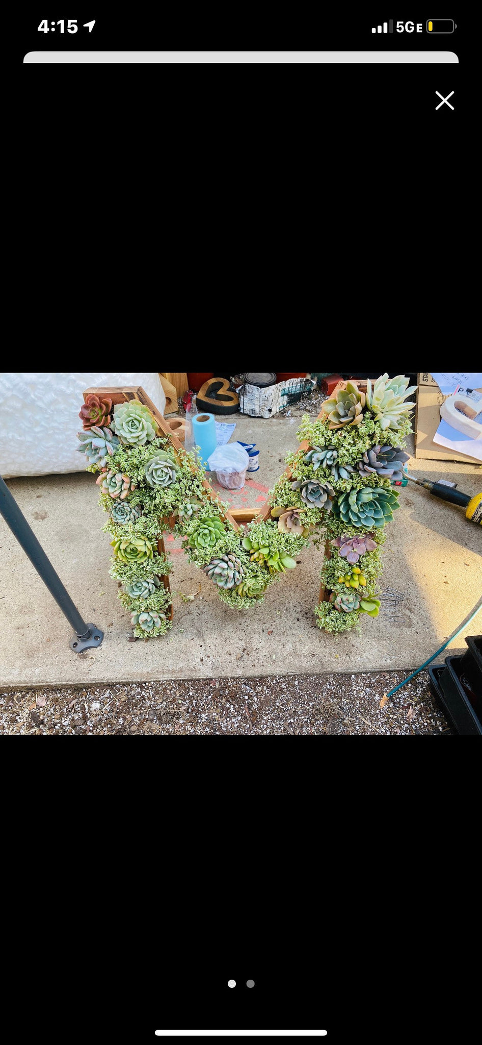 A 16 and 24 mongram succulent letter planters , succulent gifts , arrangements , Christmas Gifts, birthday gift box , succulent centerpieces ,
